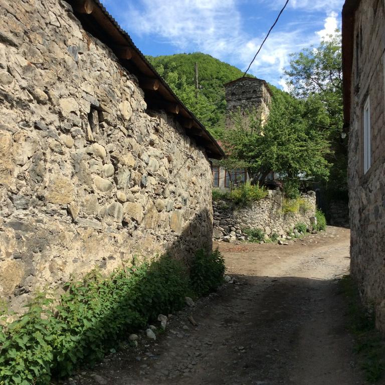 Guest House Chuta In Lagami Mestia Zewnętrze zdjęcie